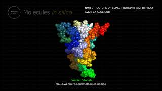 Molecules in silico ･ NMR STRUCTURE OF SMALL PROTEIN B SMPB FROM AQUIFEX AEOLICUS [upl. by Stark]