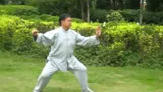 Master Ma Baoguo Hunyuan Xingyi Taiji 26 Form [upl. by Gladine]