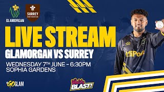 Glamorgan vs Surrey  Vitality Blast  Live Stream [upl. by Dloniger]