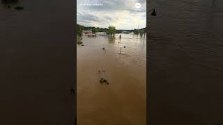 Major flooding in Asheville after Helene [upl. by Savinirs]