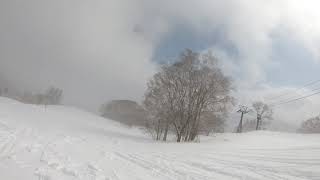 Rusutsu Ski Resort March 2020  Rainbow and Bambi course [upl. by Vinita]