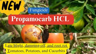 Propamocarb Hydrochloride Fungicide Chemistry Modes of Action Formulations and Applications [upl. by Desma802]