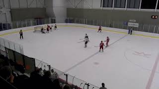 RSEQ D2 Hockey masculin  Lévis vs Rimouski [upl. by Fronnia897]