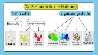 Die Nahrung und ihre Bestandteile –Natur und Technik 5Klasse [upl. by Kurzawa32]