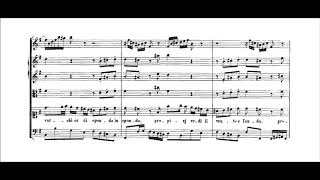 J S Bach – Cantata quotNon sa che sia dolorequot BWV 209 [upl. by Audra]