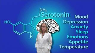 Dopamine Serotonin amp Norepinephrine [upl. by Akerley]