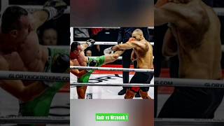 BADR HARI VS WRZOSEK KO  ART [upl. by Eiveneg]