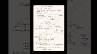 Treponema Pallidum shortnotes shortnot microbiology explore [upl. by Konstance]