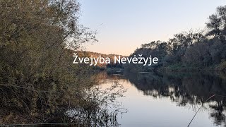 Žvejojam Nevėžyje Ir Beveik Nieko Nepagaunam [upl. by Hamlani917]