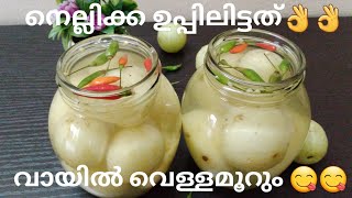 വായിൽ വെള്ളമൂറും നെല്ലിക്ക ഉപ്പിലിട്ടത്😋😋  Kerala style Nellikka Uppilittathu  Malayalam Recipe [upl. by Sherr]