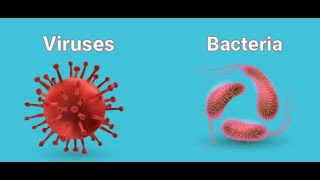 Viruses and Bacteria [upl. by Htrow]