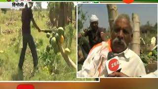 Hingoli Peekpani On Farmer Trambakrao Joshi Breakout Papaya Tree Due To No Cost In Market [upl. by Medarda]