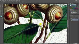 33 Clipping Path Tutorial In Photoshop  Ahosan Uddin Noman [upl. by Refiffej]