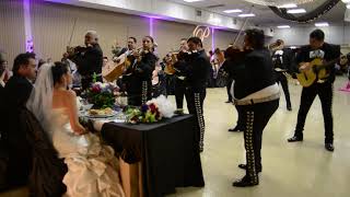 Mariachi Campanas de America  Wedding  Del Rio Texas [upl. by Boccaj967]