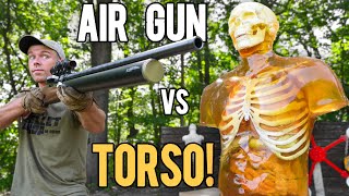 Worlds Most POWERFUL Air Rifle vs TORSO 72cal ZEUS [upl. by Suissac317]