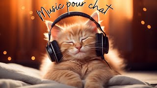 music pour chat  Le ronronnement des chats  Découvrez ses bienfaits pour nos félins adorables  😻🌈 [upl. by Saref]