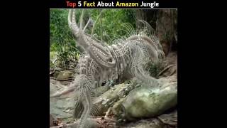 What AMAZON JUNGLE Secrets Are Hiding From You amazon jungle facts shorts short [upl. by Esinyl]