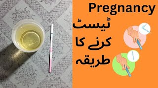 Pregnancy test  Pregnancy Test kaise karte hain  how to check pregnancy test at home [upl. by Gaul]