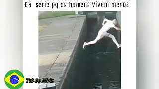 Porque homens vivem menos  meme Tal do Mula [upl. by Nirual]