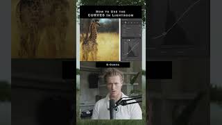 Lightroom CURVES lightroom [upl. by Wallack]