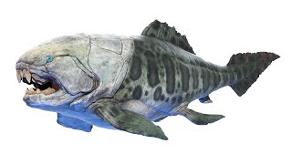 Dunkleosteus Dinosaur [upl. by Sisak]