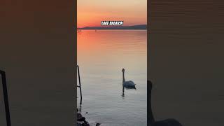 Sunset over Lake Balaton balaton hungary camping camperlife shortvideo [upl. by Michaelina]