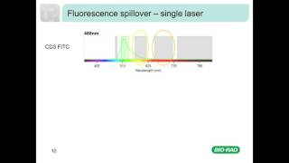 Fluorescence and Compensation in Flow Cytometry [upl. by Storfer196]