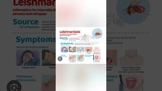 Kalaazar viralvideo publicawareness ministryofhealth education [upl. by Renard577]