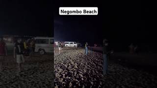 Negombo Beach Night View [upl. by Cory]