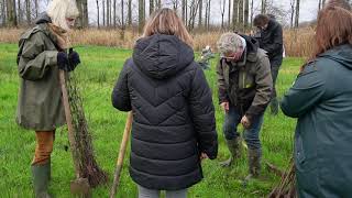 Bomen planten met Trees For All en USG Professionals [upl. by Ayiotal]