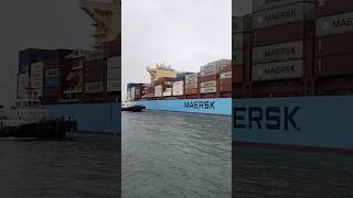 MAERSK LINE SHIP 🛳️🛳️⚓❤️❤️❤️❤️⚓⚓⚓⚓ship MAERSK [upl. by Akaya]