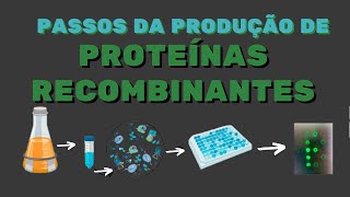 Como Produzir Proteínas Recombinantes [upl. by Krakow]