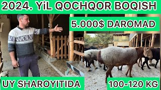 5OYDA 5000 DAROMAD QOCHQOR YEMLASH SIRLARI UY SHAROYITIDA FOYDALI VIDEYO 932665222 [upl. by Yerffoj427]