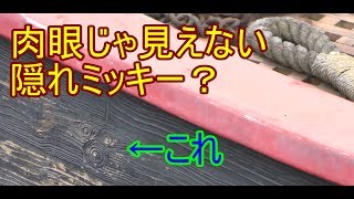 【TDS隠れミッキー】肉眼じゃ見えない？SSコロンビア号タグボートの隠れミッキー【ゆっくり解説】 [upl. by Sulecram]