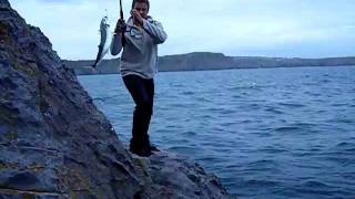 Mackerel fishing at Lydstep pembrokeshire [upl. by Gmur]