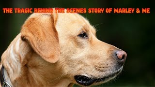 The Tragic Behind the scenes Story of Marley amp Me 2008 [upl. by Aderfla595]