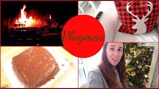 Mattinata MAMMAampFIGLIA  Svuoto la Spesa LIDL  Coccole e Torte Natalizie VLOGMAS 3 [upl. by Atiniuq382]