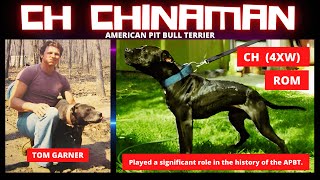 Garners CH quotChinamanquot ROM 4XW GAMEDOG 💯 CHINAMAN PIT BULL apbthistory [upl. by Rives]