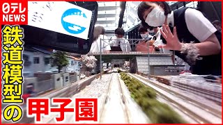 【今年も壮大】高校生による精密なジオラマの世界 鉄道模型の甲子園 [upl. by Hertha]