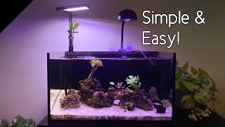 How I setup my mangrove aquarium [upl. by Murtha]