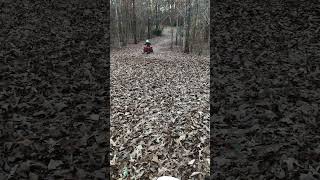 Honda trx90  six year old drifting in the leaves honda drifting atv [upl. by Yecies]