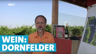 Werner erklärt Wein Dornfelder [upl. by Sigvard]