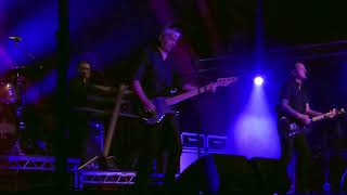 The Stranglers Skin Deep live in North Berwick 6th August 2024 [upl. by Nagap]