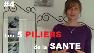 4  Naturopathie Créative  Cest quoi les 5 piliers de la Santé [upl. by Fortunato394]