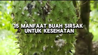 Kenali 15 Manfaat buah sirsak untuk kesehatan yang jarang orang ketahui [upl. by Anaicilef]