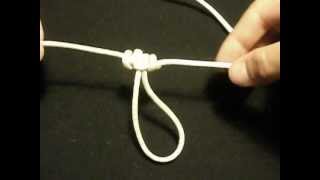 How to Tie a Dropper Loop [upl. by Wei]