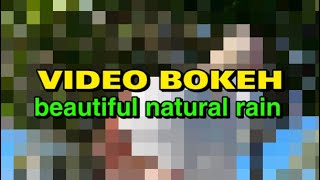 VIDEO BOKEH beautiful natural rain [upl. by Ayamahs981]