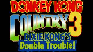 Rockface Rumble Donkey Kong Country 3 Dixie Kongs Double Trouble SNES Music Extended [upl. by Medardas806]