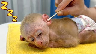 Baby monkey Jic Jic gets a manicure and massage from dad [upl. by Ramirolg]