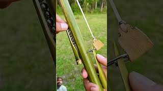 Bamboo Creation With Mini Steel Ball Slingshot bamboo agriculture bambooshoot reaction shorts [upl. by Nyraa]